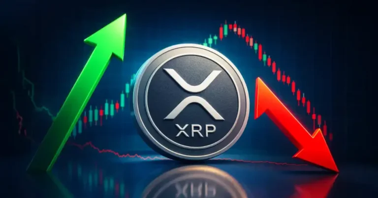 Ripple News: XRP Whale Wallets Hit Record High as ETF Holdings Climb to $1.44 Billion